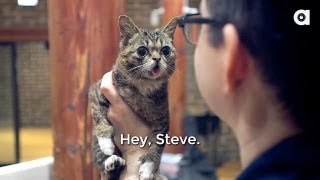 Lil BUB's Big SHOW Episode 3: STEVE ALBINI