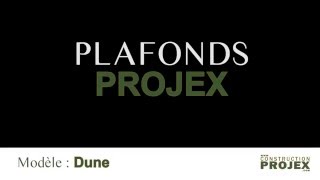 Construction Projex  /  Tuile Acoustique - Modèle DUNE