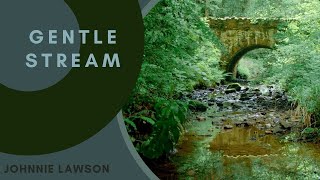 Nature Sounds Forest Sounds Birds Singing Sound of Water-Relaxation-Mindfulness-Meditation