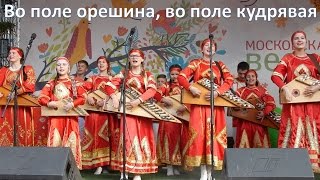 Во поле орешина, во поле кудрявая! Хоровод с гуслями, русский народный!