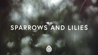 Pat Barrett ~ Sparrows And Lilies (Lyrics)