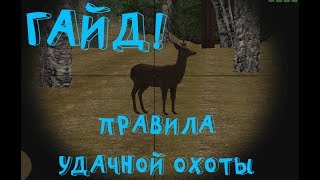 Правила удачной охоты! ГАЙД как правильно охотиться! Radmir CRMP