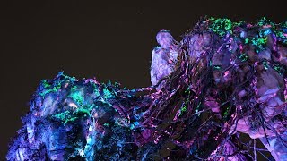 A Nighttime Look At Pandora World Of Avatar At Disney's Animal Kingdom | Bioluminescence & Crowds!