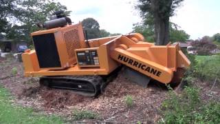 Измельчитель пней Carlton Hurricane TRX
