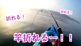 東京湾でカヤックフィッシング！！