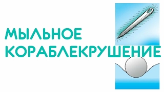 МЫЛЬНОЕ КОРАБЛЕКРУШЕНИЕ ⛴ Опыты по химии ➄