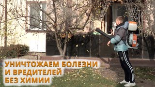 Уничтожьте все болезни и вредители осенью без химии! Комплексное искореняющее опрыскивание!