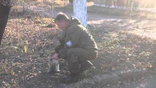 Земля Горловки