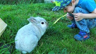 Макс ловит кролика кролик Буся видео про животных для детей