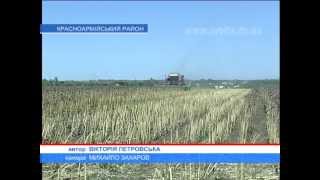 В 2012-м урожай подсолнечника не будет рекордным