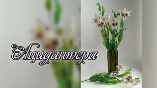 ОБЗОР К МАСТЕР-КЛАССУ "АЦИДАНТЕРА ИЗ БИСЕРА" / Цветы из бисера / Мастер-класс / Бисероплетение