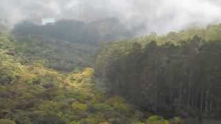 Mathikettan forest view - kodaikanal