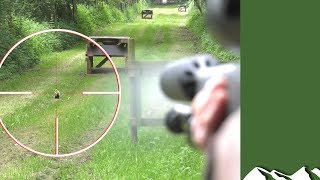 Squirrels with a .22-250
