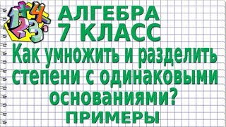 УМНОЖЕНИЕ И ДЕЛЕНИЕ СТЕПЕНЕЙ С ОДИНАКОВЫМИ ОСНОВАНИЯМИ. Примеры | АЛГЕБРА 7 класс