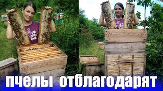 Как сделать улей.Улей с камыша. от А до Я,Этот материал можна косить возле речки