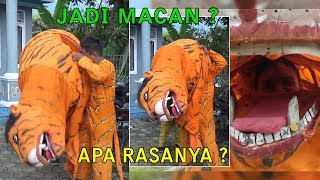 JADI MACAN ?? APA RASANYA ? WAWANCARA DAN PERSIAPAN SEBELUM PENTAS AKSI TARUNGAN