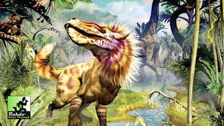 Evolution Gameplay Runthrough