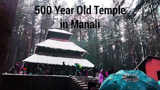 Visited 500 year old temple in Manali | Hadimba Mata Mandir | Manali Day 3 and 4