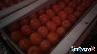 Обзор оптовой базы.