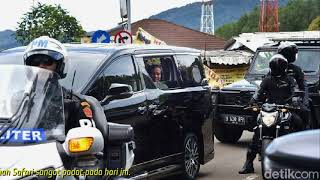 Ke Taman Safari, Mobil Rombongan Jokowi &#039;Dicegat&#039; Harimau
