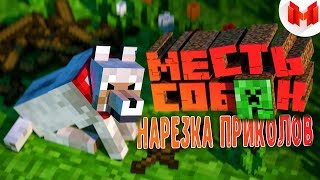 МАРМОК МЕСТЬ СОБАК НАРЕЗКА ПРИКОЛОВ ОТ Славика|Minecraft " ̶Б̶а̶г̶и̶, Приколы, Фейлы"|