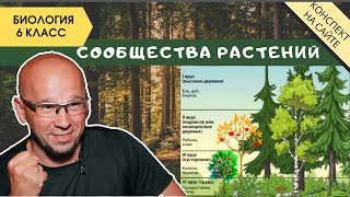 Растительные сообщества природы. Биология 6 класс. Фитоценоз. Симбиоз растений и их взаимодействие