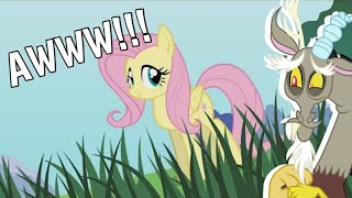 Discord Reacts to Pony Girl (Fluttershy Version)