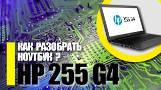 Разборка ноутбука HP 255 G4 / Как ПРАВИЛЬНО разобрать ноутбук HP 250 / Замена оперативки HP 255 G4