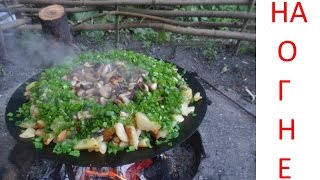 Жарим грибы и картошку на костре! Готовим на природе! Fry the mushrooms and potatoes on the fire!