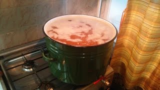 Домашнее пиво. Варим Американский Пэйл Эль (APA)