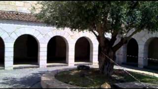 წმინდა მიწა კაპერნაუმი ტაბხა