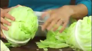 高麗菜料理