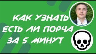 Евгений Грин - Как узнать есть ли порча за 5 минут. Признаки порчи!