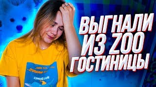 ВКЛЮЧИЛА СКРЫТУЮ КАМЕРУ, а СОБАК НЕТ... КУДА ДЕЛИ МОИХ СОБАК В ЗООГОСТИНИЦЕ? ОНИ СКУЧАЮТ