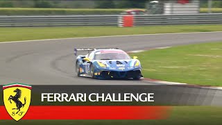 Ferrari Challenge UK: Snetterton Race 1