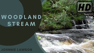 Waterfall & Forest Sounds-Relaxing Sound of Nature-Soothing Birds Singing Relaxation