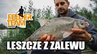 Leszcze z zalewu. Wędkarstwo feeder.