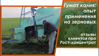 Гумат калия: как вырастить с ним озимую пшеницы. Херсонщина, отзывы клиентов