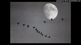 Советские песни - Летят Перелетные Птицы 1948