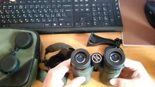 Обзор NIKULA 10×42 и как правильно настроить бинокль при разной остроте зрения?