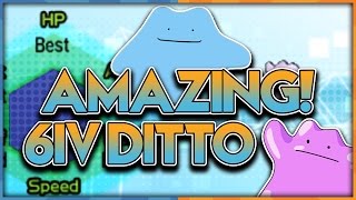 EASY LEGIT BEST DITTOS! How to Get 6IV Perfect Ditto In Pokemon Sun and Moon!