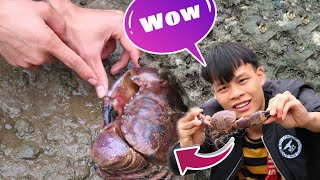 Bắt Hải Sản Mắc Cạn Khi Thủy Triều Rút ( CÙM CÙM ĐÁ ) Catching Crabs - Lạ Vlog