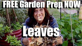 Prep Your Garden Bed for Spring NOW using FREE Leaves // 3 Benefits and the Easy How To