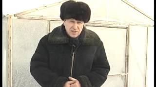 Плёночная теплица зимой