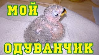 Наши новости. Нам 25 дней.