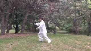 Fajin (Fajing) in the Spirit of Yang Tai Chi 楊式太極拳之發勁練習
