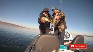 Pike & Perch Fishing - Rogojesti