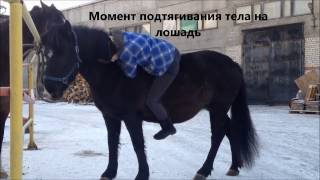 Как научиться запрыгивать на лошадь без седла