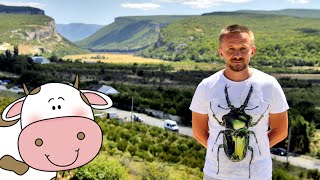 ОЗЕРА КРЫМА - ЗАБРОШЕННЫЙ РАЙ в НОВОУЛЬЯНОВКЕ