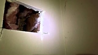 7 Жутких Находок Найденных в Стенах Своих Домов